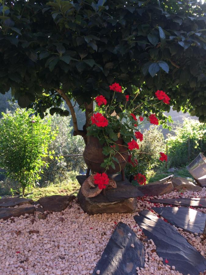 Soito  Mountainhome Casa Cancelinha מראה חיצוני תמונה