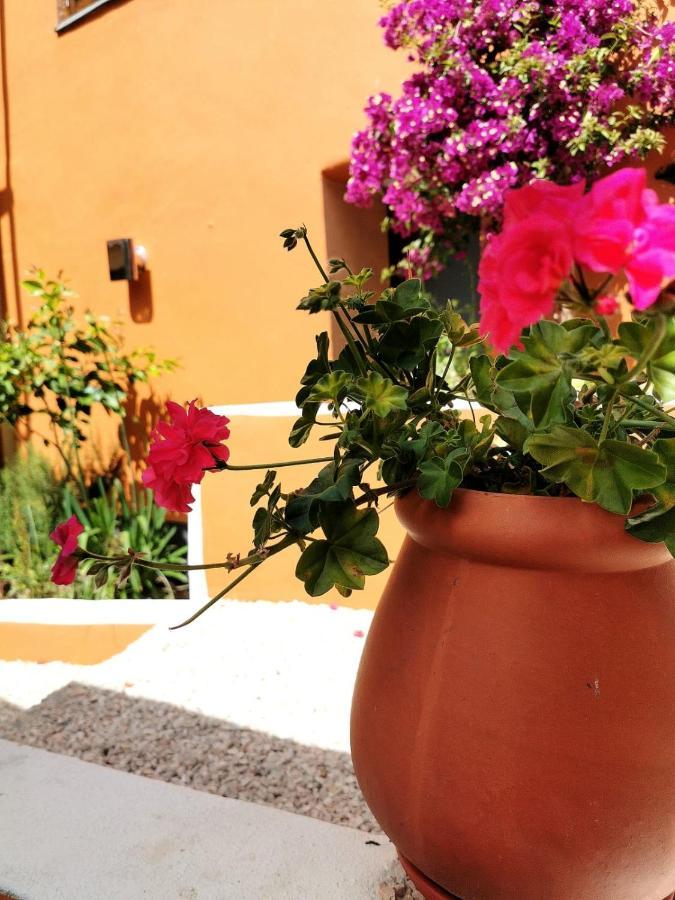 Soito  Mountainhome Casa Cancelinha מראה חיצוני תמונה